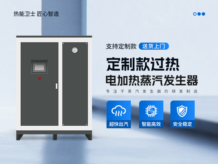 定制款過熱蒸汽發生器