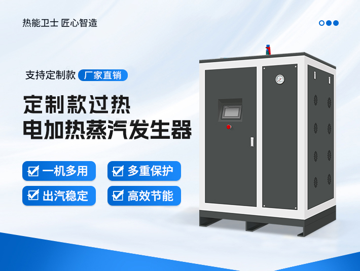 定制款過熱蒸汽發生器