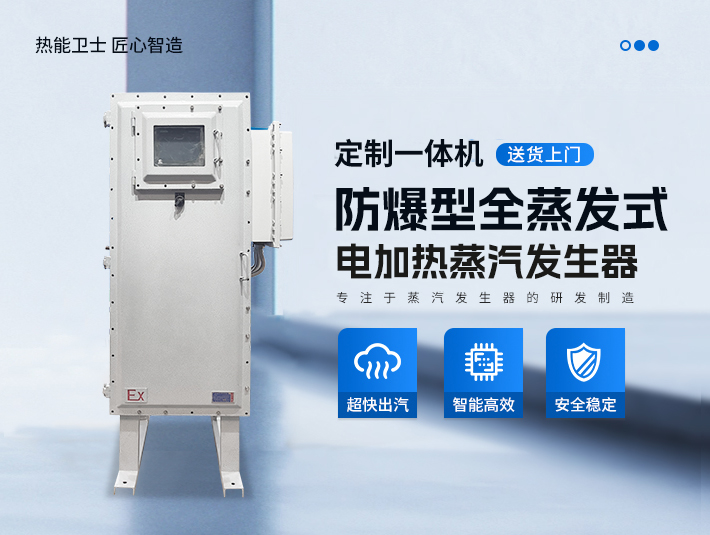 定制一體防爆全蒸發式電蒸汽發生器
