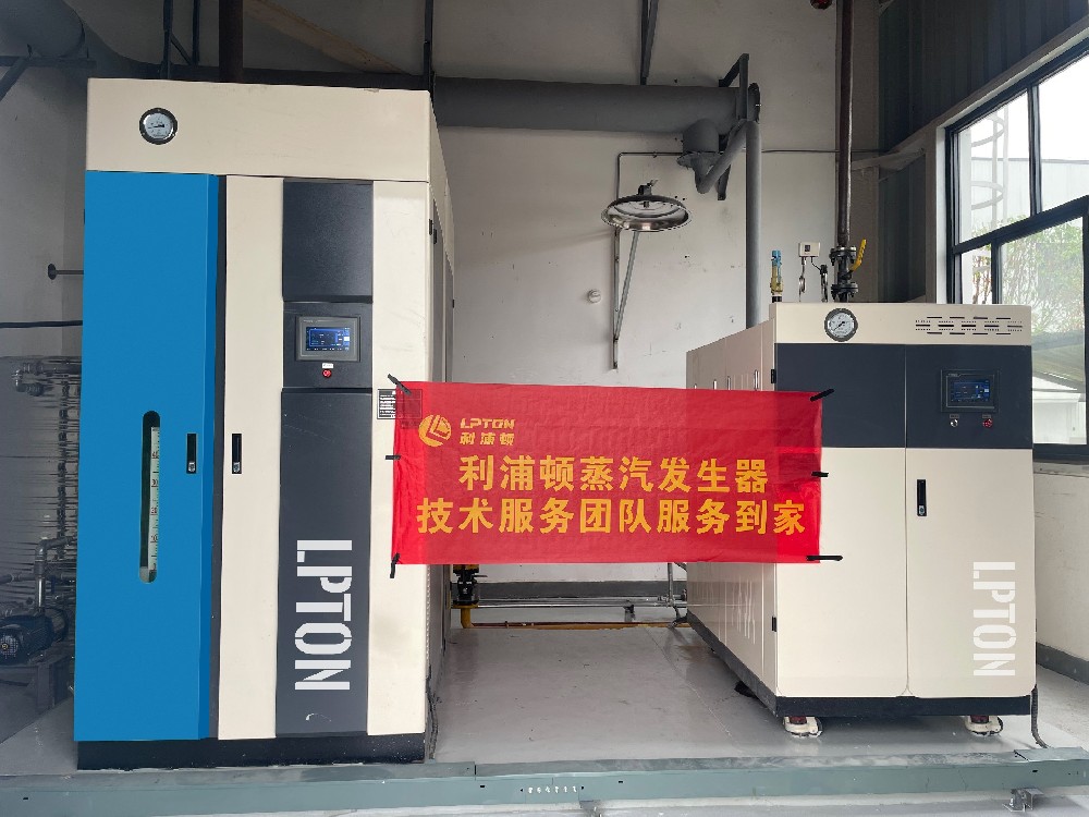 利浦頓全預混蒸汽發生器1噸+0.5噸用于蒸發結晶